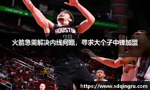 火箭急需解决内线问题，寻求大个子中锋加盟