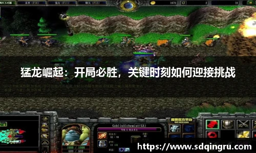 猛龙崛起：开局必胜，关键时刻如何迎接挑战