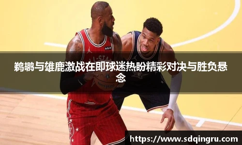 鹈鹕与雄鹿激战在即球迷热盼精彩对决与胜负悬念